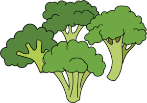 brocolis en dessin