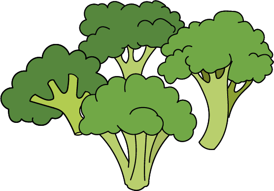 brocolis en dessin