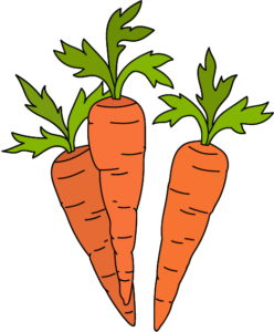 Dessin de carottes