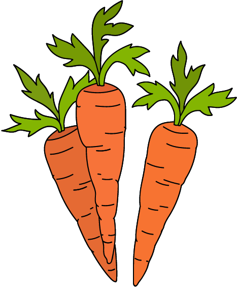 Dessin de carottes