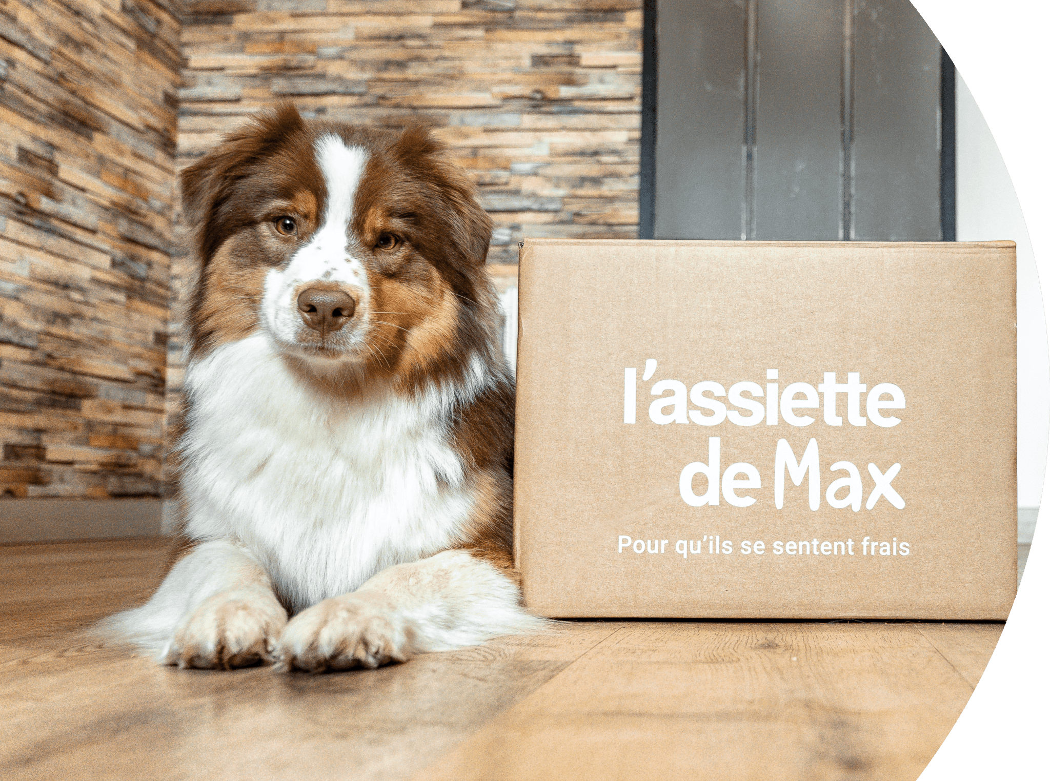 berger australien l'assiette de max