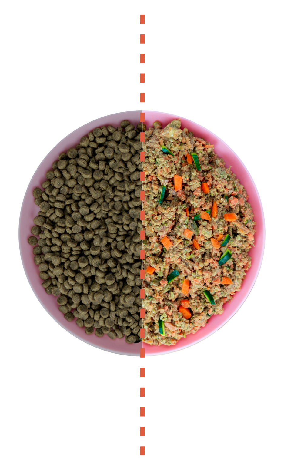 différence croquettes et ration ménagère