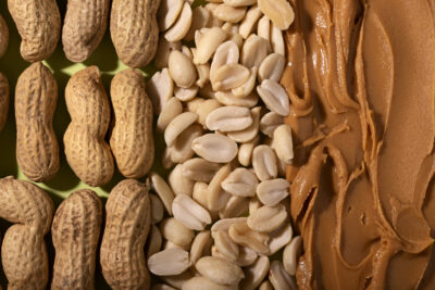 cacahuète pour chien